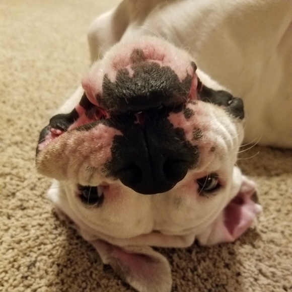 Meet the Posher Other - Hey Ya"ll